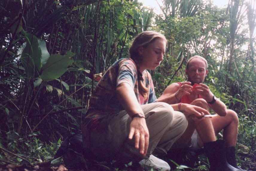 Pause for lunch on 8 hour hike into Corcorvado NP.