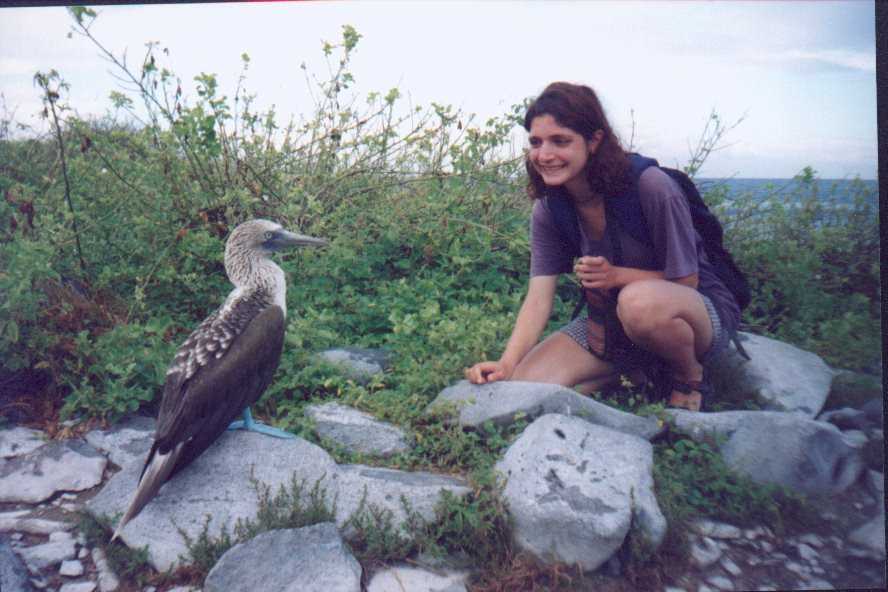 Yfat checking out a Blue-footed Boobie up close and personal!